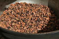 Cocoa Bean – product photo 1, product detail gallery