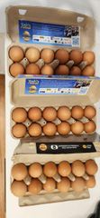 🥚 Fresh Eggs for Sale - Image 3