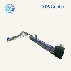Persimmon Sorting Machine for Fruit Washing Packing Origin China Power 3.75kw Model NO. 0201 HS Code 84223000 Voltage - Image 2