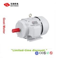 Y2-200M2 3Phase Driving Motor 380V 50/60Hz F.H Insulation CE ISO9001 BRO Cast Iron 0.12KW-315KW - Fuding Brothers Power Co., Ltd.