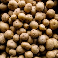 Fresh Natural Potatoes Premium Quality Farm Fresh Potatoes for Export and Wholesale Supply - Image 2