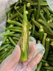 Top Sales Dried Okra Chips / Okra power / Freeze Dried Okra Type Okra Shape CHIP Style Dried Weight (kg) 5 Color Natural - Image 3