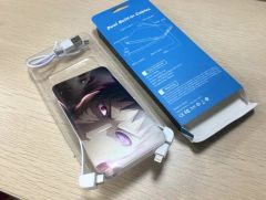 Power Bank 10000mAh Micro Input Micro+Type-C In Built Cables Outputs and USB Output - Image 2