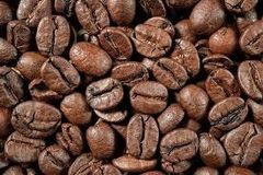 Fresh Roasted Coffee-shop online for premium quality beans for export internationally – product photo 6, product detail gallery