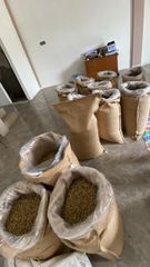 SUMATRA GREEN COFFEE BEAN ROBUSTA FINE AND ARABICA – product photo 4, product detail gallery