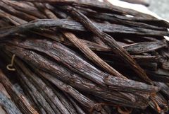 Vanilli Planifolia – product photo 1, product detail gallery