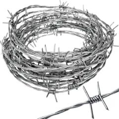 Hsj High Quality Roll Barbed Wire Razor Barbed Galvanized Wire for Farm Fence - Image 6