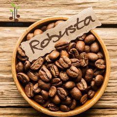 Taste Robusta Coffee Beans High Quality Fresh Roast With Strong Flavor And Smooth Finish Buy Fast Delivery Premium Quality Wholesale Naturally Perfect For Coffee Shops - Image 1