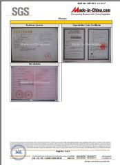 SGS certificate from Changzhou Longxiang Gas Spring Co., Ltd.