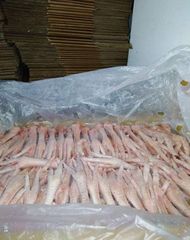 Chicken Paws - Image 2