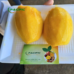 Frozen Mango Premium Quality Wholesale – product photo 3, product detail gallery
