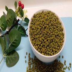 Clean Green Mung Beans Whole Seeds Fresh Dried High Protein Suitable For Cooking Curry Soup Sprouts And Food Manufacturing Use Buy Today Fast Delivery Premium Quality Wholesale - Image 2