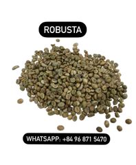 Robusta Coffee Beans Export Standard Feature Neutral Taste Bag Coffee Robusta - Raw Coffee Beans / Made in Viet Nam - Image 2
