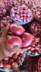 Fresh Indian Onion – product photo 2, product detail gallery