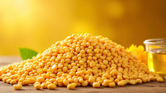 RBD Soybean Oil (Refined, Bleached, Deodorized, Supreme Quality, Amazing taste, Food Grade Packaging) - Image 3