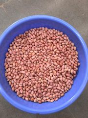 Peanut TJ 80/90 50/60 - Image 2