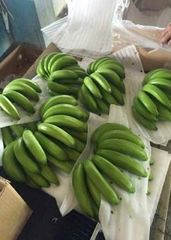 Fresh Banana