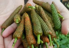 DRIED LONG PEPPER Size 3-7cm Color Black Style Dried Shape Piece Weight (kg) 50 Taste Spicy Hot Drying Process AD Processing Type - Image 5
