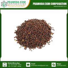 High Grade Natural Black Mustard Single Spices & Herbs From Indian Manufacturer - Image 5