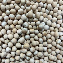 Premium White Peas Whole Natural Beans High Protein Rich In Fiber Ideal For Bulk Buyers - Image 2