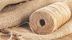 Golden jute - Image 3