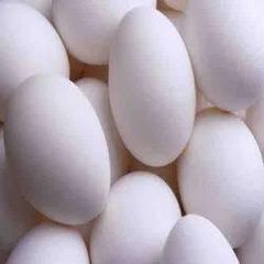 Fresh White Chicken Eggs Wholesale Distribution - Image 4
