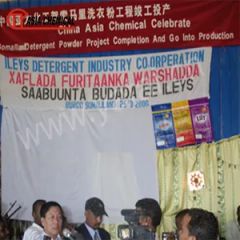 Professional Detergent Powder Factory Construction Full Set Equipment - Image 6