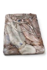 Block Frozen Octopus - Image 3