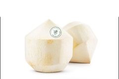 Young Coconut - Image 1