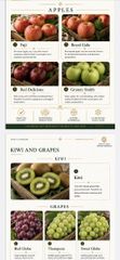 Apples - Image 1