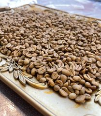 Greenbean Coffee,Roastedbean Coffee,Ground Coffee – product photo 2, product detail gallery