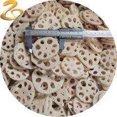 IQF Frozen Lotus Root Slices Vegetables Frozen Food GMO None Color White Blanching Yes Type Lotus Root HS Code 0710809090 - Image 6