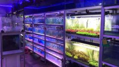 Industrial Aluminium Extrusions Profile Frame System for Fish Tank Rack - Image 4