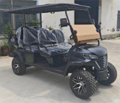 Personal Street Legal 6 Passenger Hunting Buggy Manufacturers 72V Electric Golf Cart - Suzhou Wintao Intelligent Technology Co., Ltd.