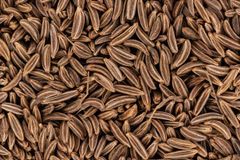 Premium Cumin Seeds (Jeera) – Export Quality by Anant Sarthi Pvt Ltd - Image 5