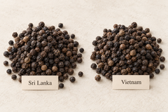 Black pepper Bold Sri Lanka / Vietnam sources - Image 5