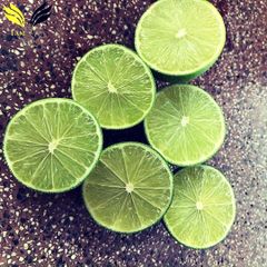 Fresh Lime Low Calorie Delicious Food Packing In Carton/ Fresh Seedless Lemon Export Quality FREE TAX /READY TO SHIP – product photo 6, product detail gallery