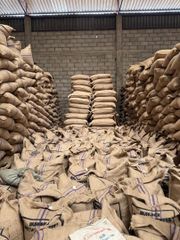 Green arabica Coffee single origin Burundi - Image 1