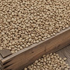 Hand Sorted Arabica Coffee Bean With Low Defect Ratio Ideal For Premium Roasting Coffee Bean Demand - Image 5