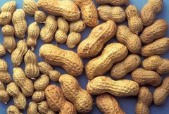 Good quality peanuts from Vietnam Type Peanut Style Dried Grade top grade Model Number Toni Shelf Life 12months Processing Type - Image 6