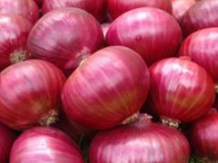 Fresh Onion, Indian Onion, Red Onion, Onion, Nashi Onion, Pink Onion, Garva Onion - Image 1