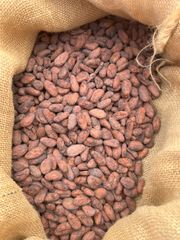 Cocoa Beans/organic cocoa beans on sale in bulk and wholesale origin of africa quality fermented - Image 2