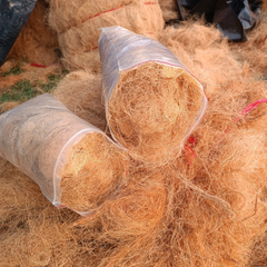 Raw Coconut Fiber - Eco-Friendly Material - Image 2