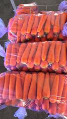 Fresh carrot medium size - Image 2