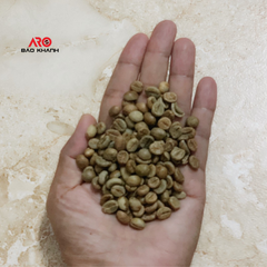Green coffee beans Robusta S16 from Buon Me Thuot Vietnam High quality Raw coffee processing Honey Washed for sale - Image 2