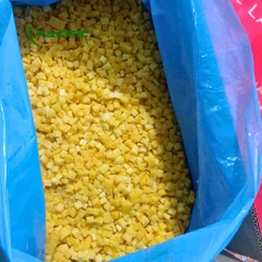 Frozen Mango Premium Quality Wholesale – product photo 5, product detail gallery