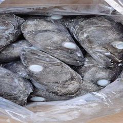 FROZEN FISH HEAD - Image 4