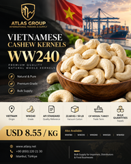 Vietnamese Cashew Kernels WW240 – CIF Mersin, Turkey - Image 2