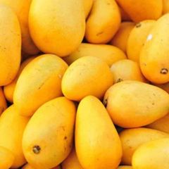 Sweat Taste Dusehri Mango High Quality Dusehri Mango Pakistan Suppliers Dusehri Mango - Image 5