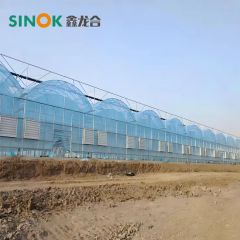 Multi Span Plastic Greenhouse with Hydroponics Planting System/Drip Irrigation System - Image 5